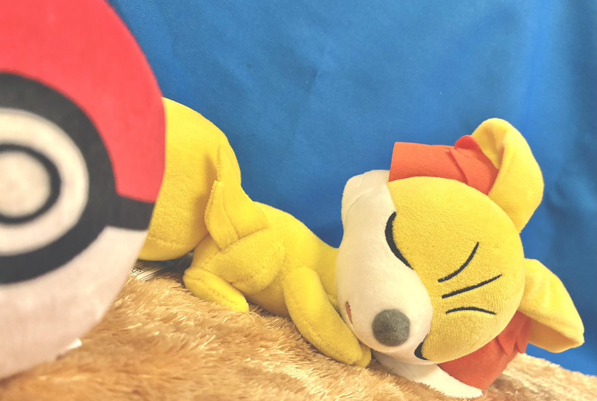 🆕新景品のご紹介🆕 ポケットモンスター くつろぎタイムぬいぐるみ