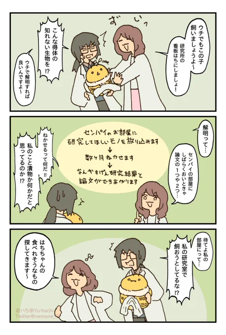 (3/11) 
