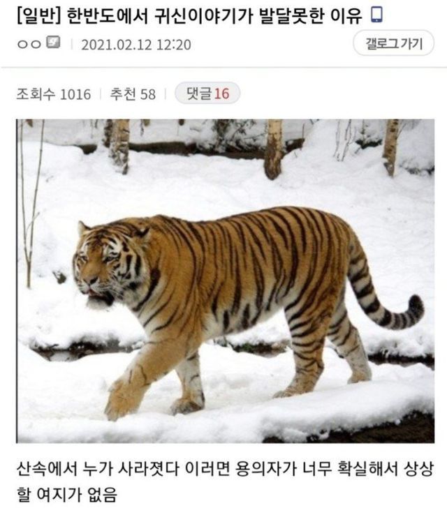 개추보관함 (@cmlf06) on Twitter photo 