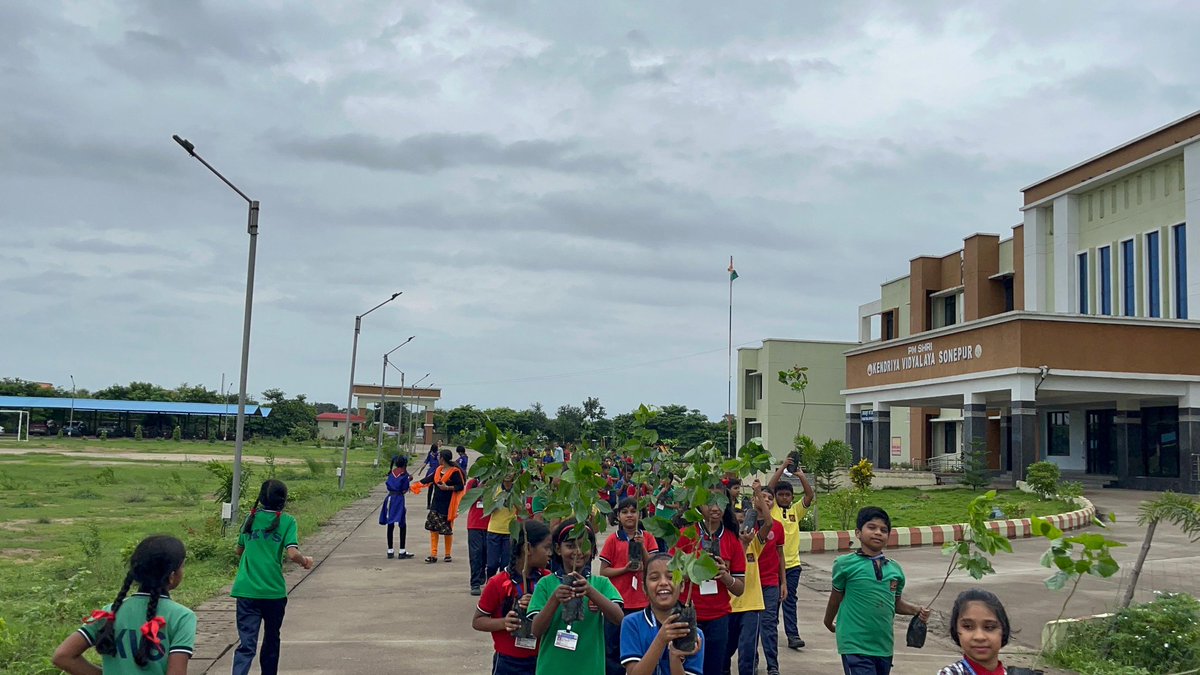 पेड़ों से चरित्र सीखें, जड़ों से मूल्य सीखें और पत्तियों से परिवर्तन सीखें।