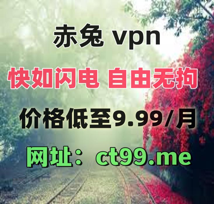 VPN加速器翻墙软件梯子 tweet media