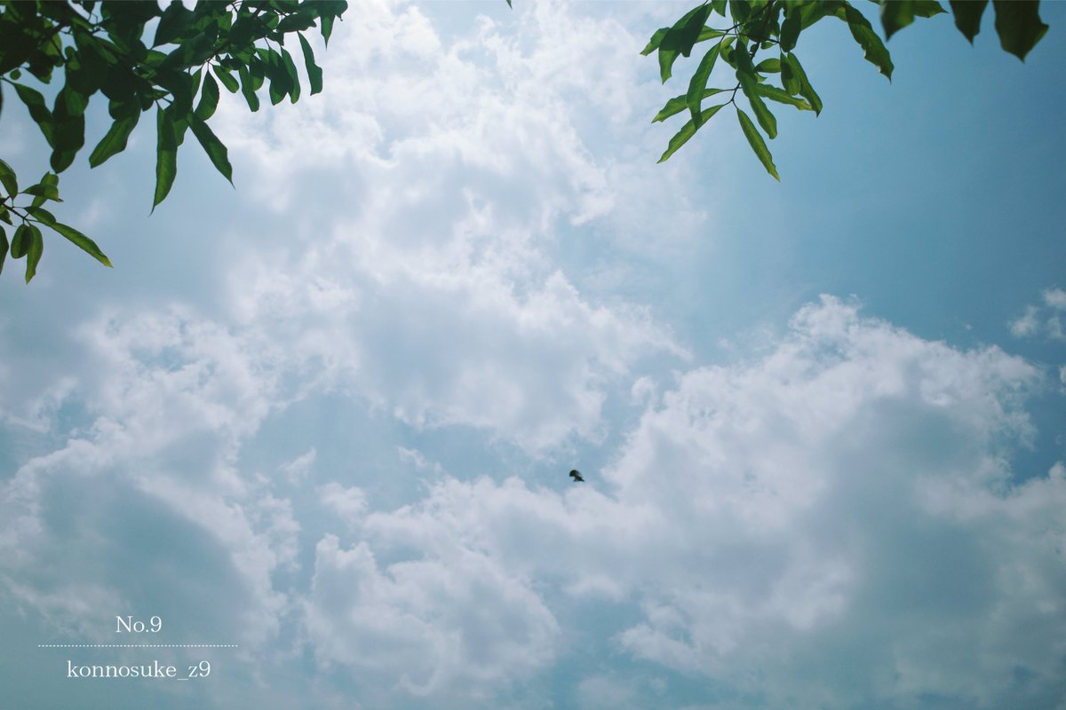 ▷ I feel summer in the air.  …