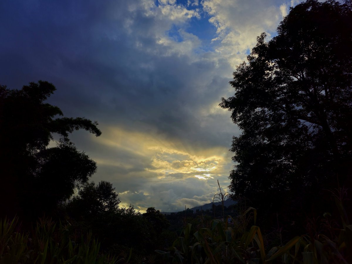 Sachin Acharya🇳🇵✨️ (@sachinacharya) on Twitter photo Share a photo of a silhouette!
The beauty of a dramatic sky and silhouetted trees.✨️🌆
#landscapephotography #photography #Nature #cityscape #StromHour #ThePhotoHour #withGalaxy #ShotOnSnapdragon
<a href="/ThePhotoHour/">#ThePhotoHour</a> <a href="/AP_Magazine/">Amateur Photographer</a> Share a photo of a silhouette!
The beauty of a dramatic sky and silhouetted trees.✨️🌆
#landscapephotography #photography #Nature #cityscape #StromHour #ThePhotoHour #withGalaxy #ShotOnSnapdragon
<a href="/ThePhotoHour/">#ThePhotoHour</a> <a href="/AP_Magazine/">Amateur Photographer</a>