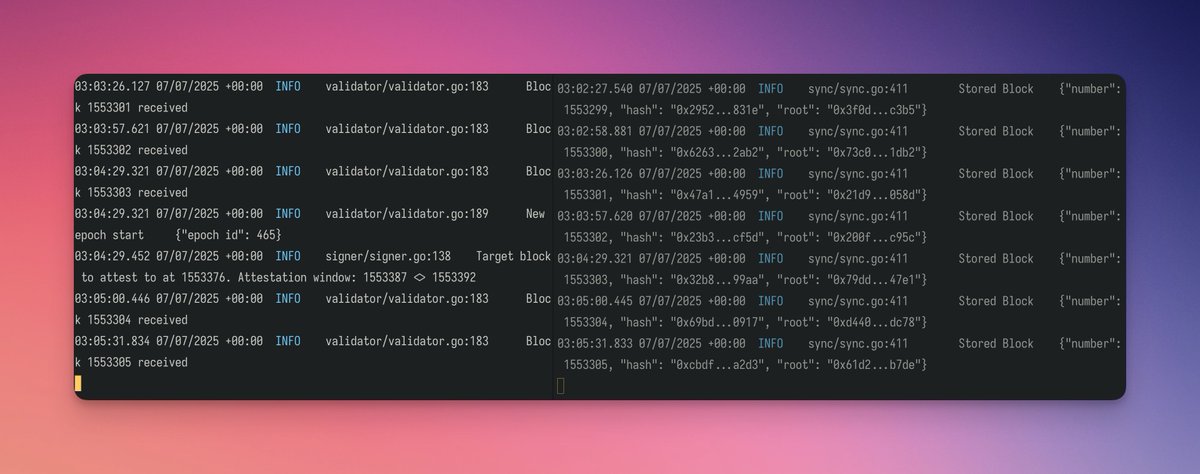sudo_okhai's tweet image. Weekend mission: Successful server migration from AWS for my Starknet validator with zero downtime.
⚡️ Maintained 100% liveness throughout the process. Every dedicated operator strengthens the network.
Onwards!
#Starknet #Validator #NodeOperator #Ethereum #L2