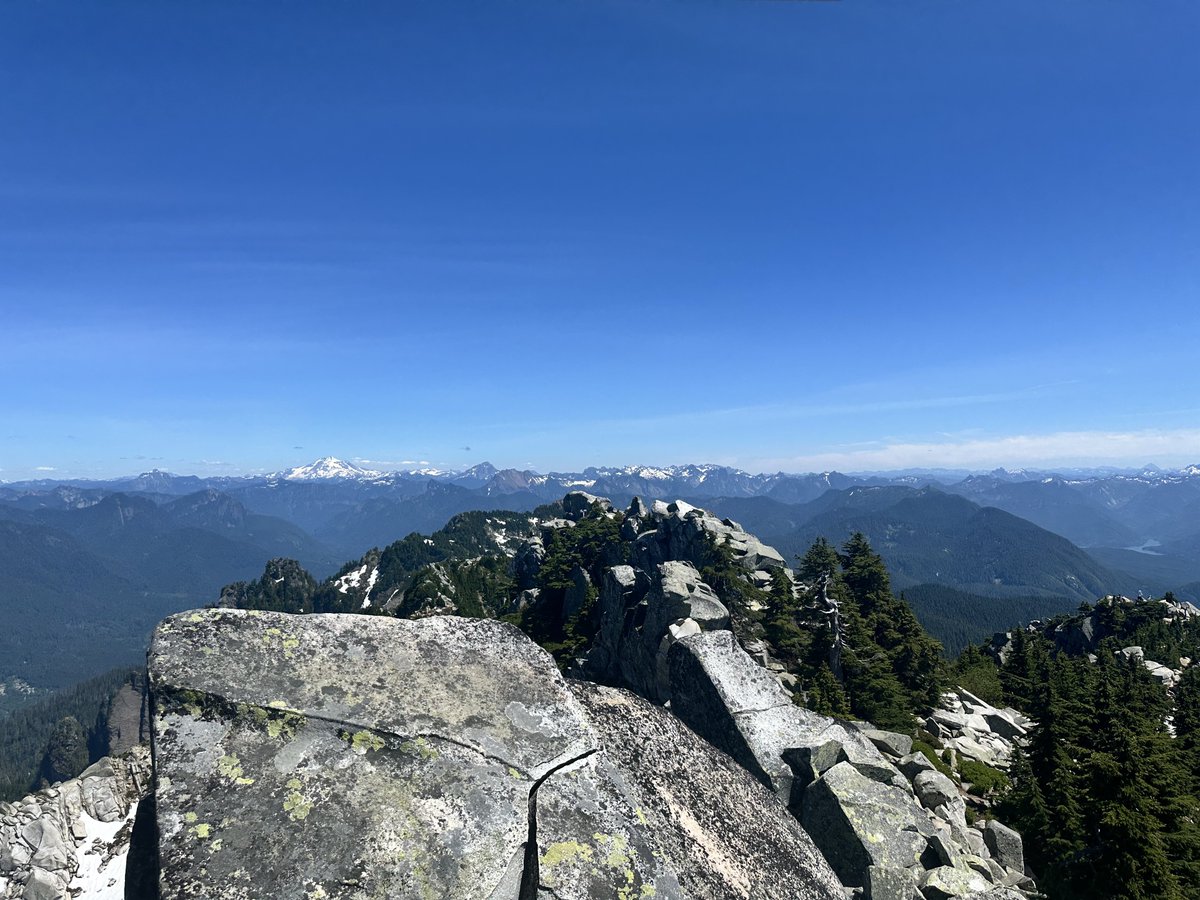 BarbaricHam tweet media