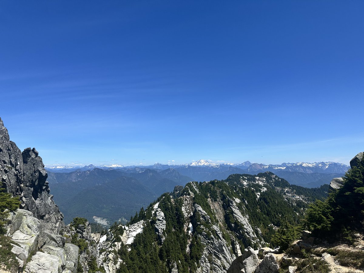 BarbaricHam tweet media