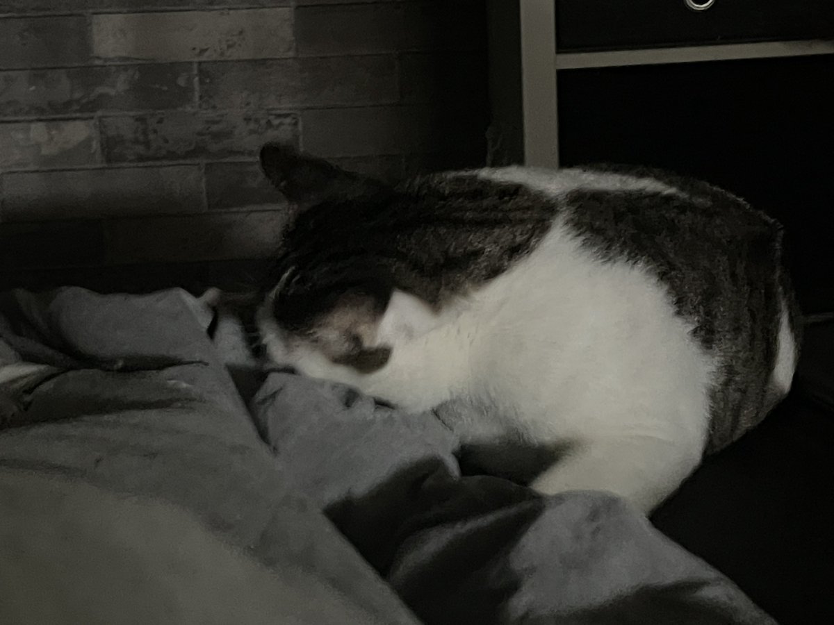 และสิ่งที่มานเล่นด้วยอยู่ ก้คือตรีนชั้นเอง ของเล่นที่สนุกที่สุด งง