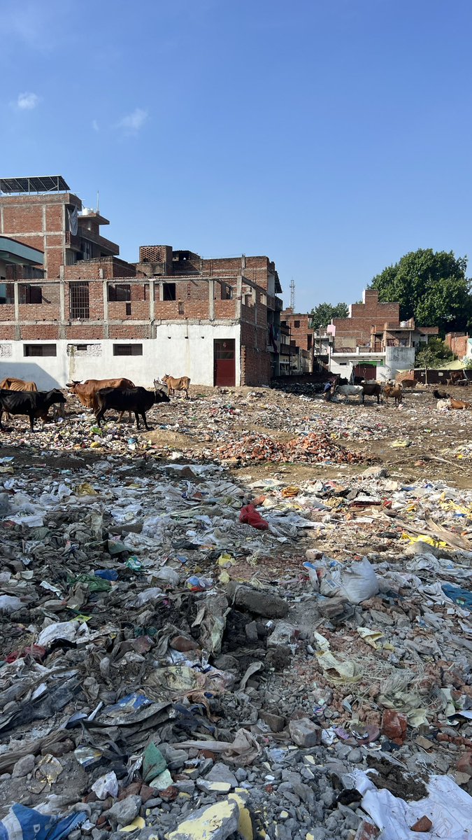 INDER1199's tweet photo. @ashoktiwaribjp @Varanasi_DM @nagarnigamvns Present state of Our PM constituency. #varanasi #kashi #banaras 
Nagar Nigam not doing anything to develop this region(Sukulpura). 

for 10yr residents waiting for community park development. @kashikirai 
@myogiadityanath @PMOIndia https://t.co/DbWnHlvCcU