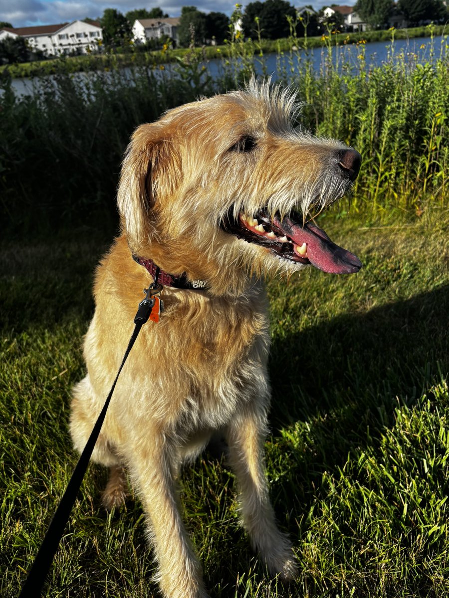 Clark is very outdoorsy 🐾