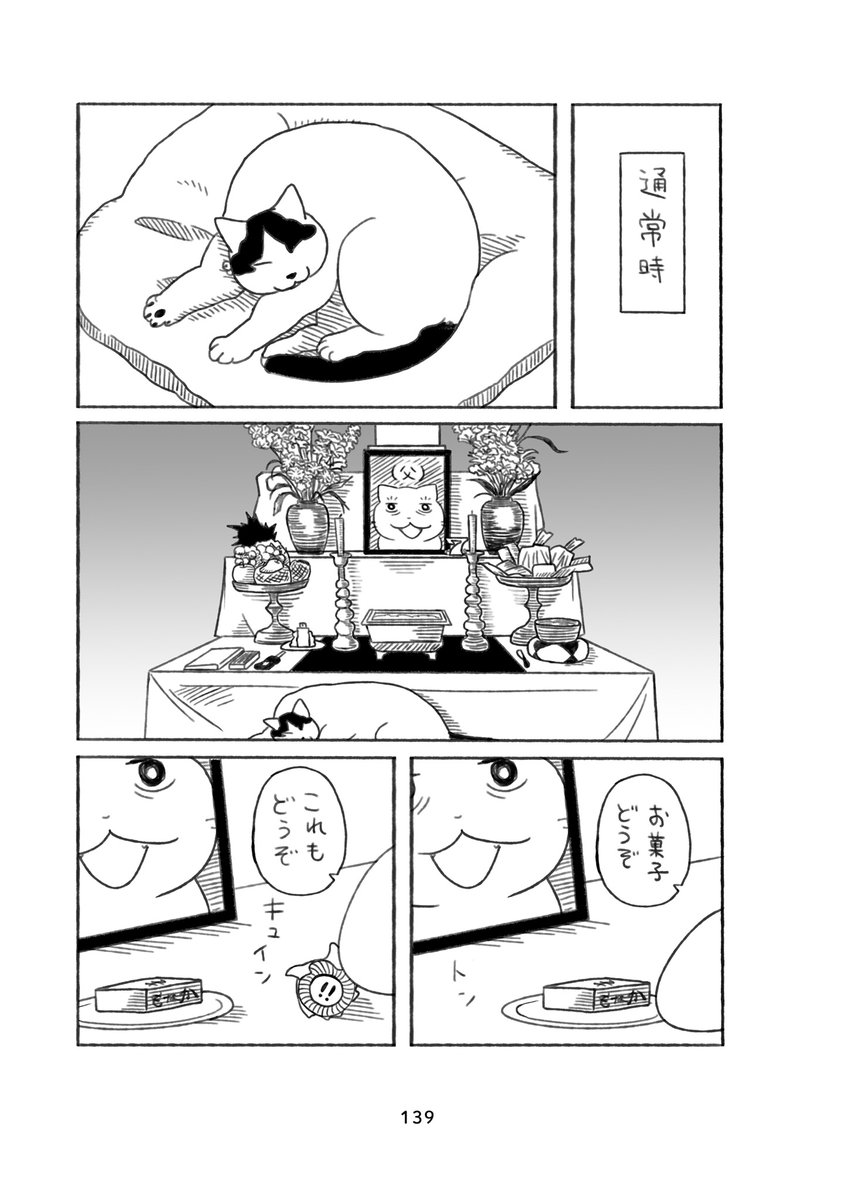 (8/8) 