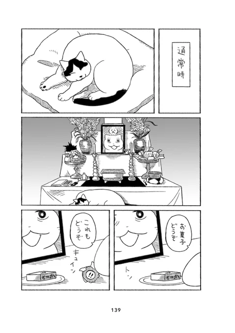 (8/8) 