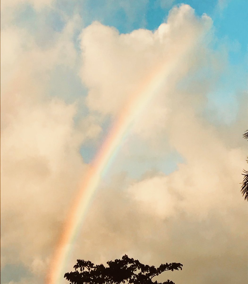 To the heavens above with a rainbow…🎶🙏🏻❤️

#rainbow #dreams #heavenly #loveit #Glorious #music #beauty #Amazing
#Dixie #Josephine #Richard