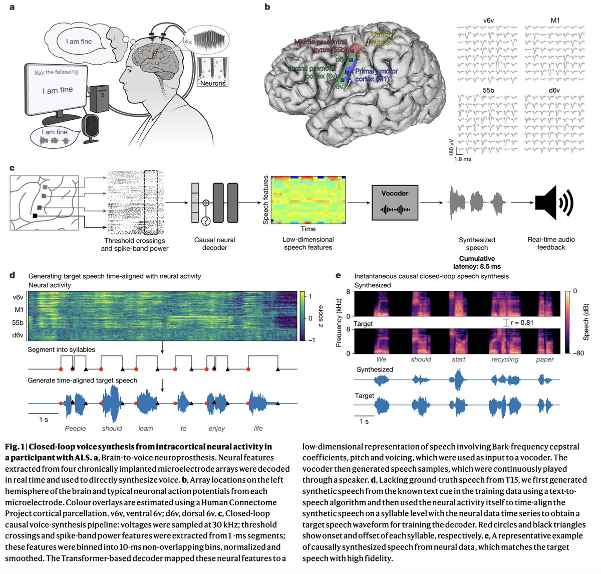 Researchers just published an unbelievable paper in Nature that uses purely brain signals to let paralyzed people speak with intonations!

It's instantaneous (~25ms), medium pace (40-60 words per min) and fair accuracy (~60% word error rate).

Baby step to full telepathy.