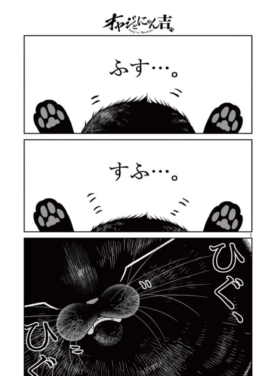 本日「#オヤジとにゃん吉」
第51話 「こぶんの一日」更新✨

今日は、オヤジのお隣さんちから
お届けします🏠

こちらから本編チェック✅
↓
app.sunday-webry.com/share.php?titl…