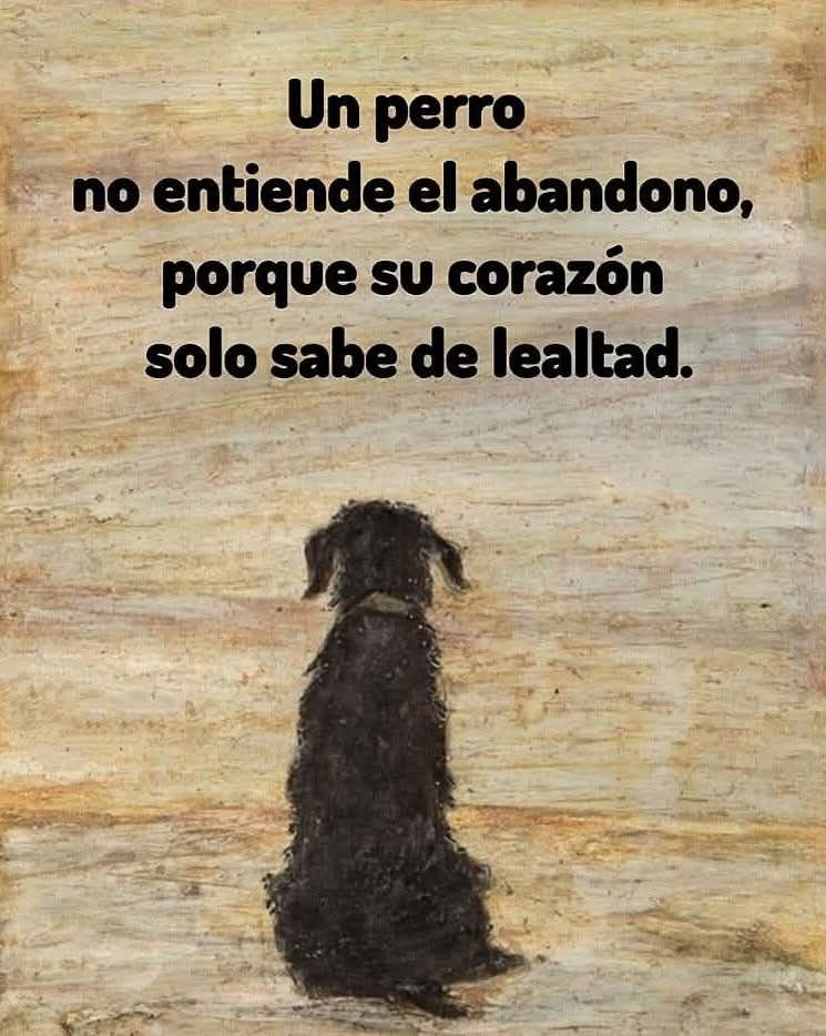 😭❤️🙏