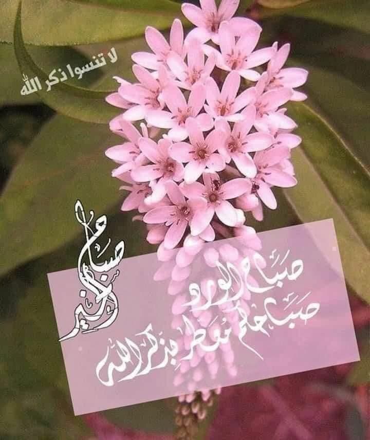 *الوفاء والأخلاق والتواضع والإحترام والكلمة الطيبة هي أجمل ما يتركه الإنسان في قلوب الآخرين ، جعلنا الله وإياكم من اصحاب القلوب الطيبه العامرة بذكر الله تعالى ، و جعل روحكم الطيبة تسكن القلوب ووجوهكم الباسمة ترتاح لها العيون ونفوسكم المطمئنة تملك النفوس 

*صبحكم الله بالخير❤️*