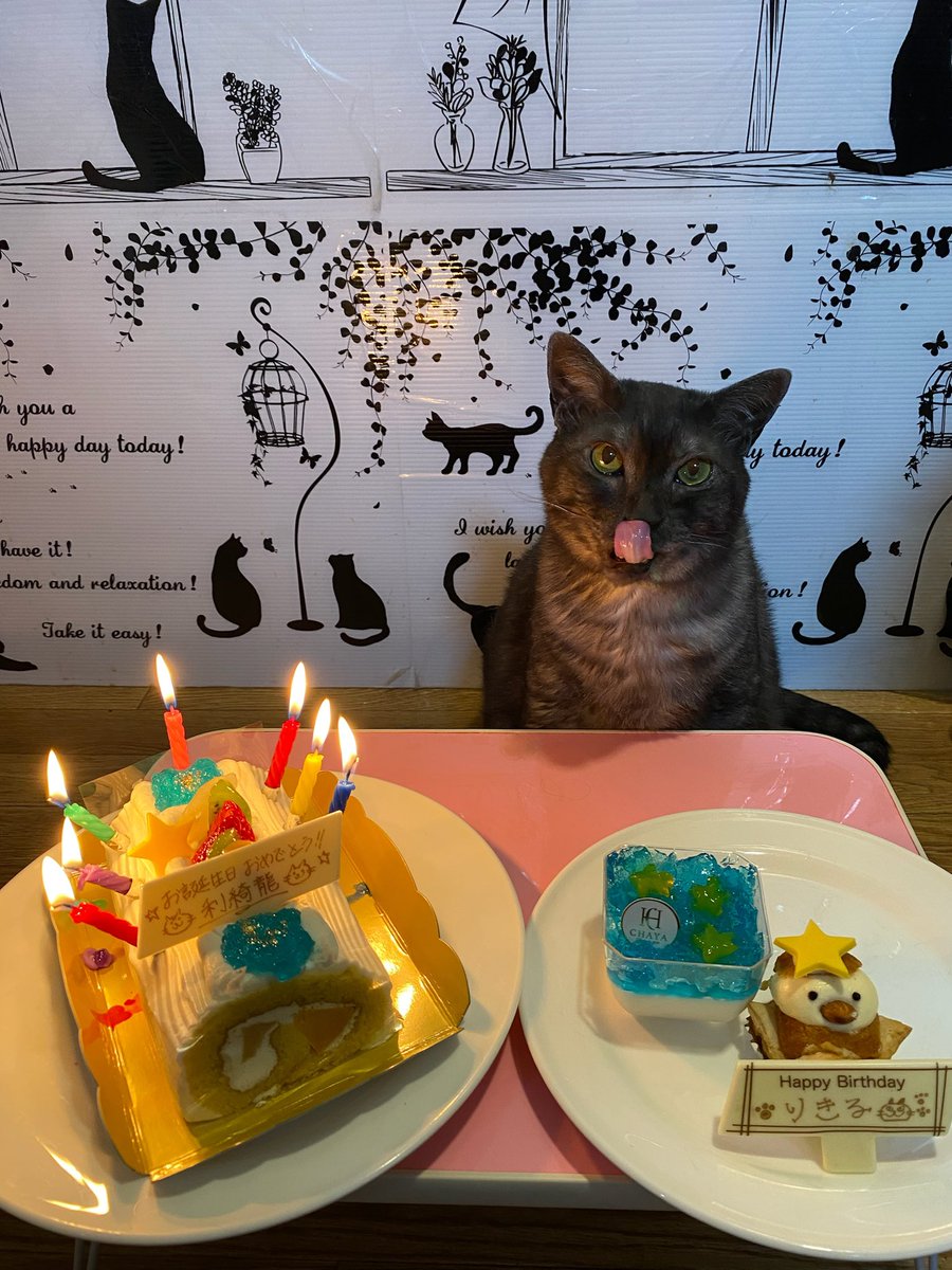 k1026r55r77's tweet photo. 今日は愛する愛息子りきるの7歳の誕生日🎋🎂
身体が弱いりきる、今年も今日を迎えることができて、心の底から嬉しいよ🥹
りきる、ありがとう💖
#リトルキャッツ出身
#ガトードボワイヤージュ
#七夕ロールケーキ
#七夕ひよこのミニパイカスター
#パティスリーラ・マーレ・ド・チャヤ 
#七夕ゼリー
#七夕 https://t.co/iSk9Aro6K0