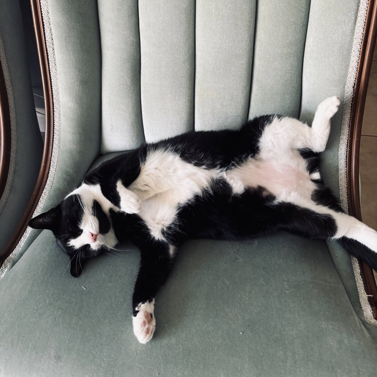 NXS_BladeRunner's tweet image. Only 3 hours left and almost forgot to ask wut kind of weekend we are supposed to be having?….
run-time error.