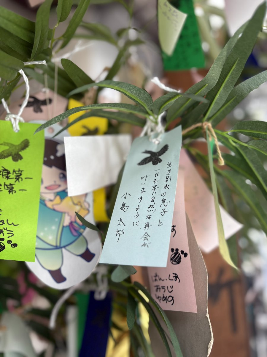 ToMySonFromDad's tweet photo. 生き別れにされている息子との、自然な再会が、一日も早く叶いますように。
令和七年七月七日
息子の産土神社　熊野神社にて https://t.co/5BBWNkthSQ