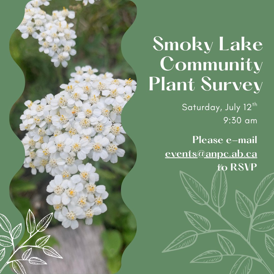 Join us in Smoky Lake for a Community Plant Survey Saturday, July 12th!⁠
Please e-mail events@anpc.ab.ca to RSVP.