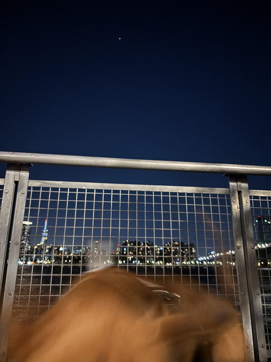 took him out to watch the International Space Station pass overhead and he didn’t give a Shit