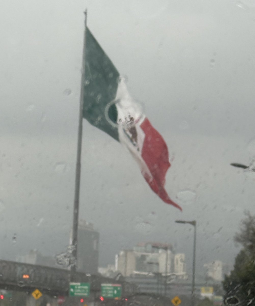 JoseAMeadeK's tweet image. 🇲🇽 México campeón de Copa Oro 2025.
Con Javier Aguirre  en el banquillo y una Liga MX fortalecida bajo @MikelArriolaP, la @miseleccionmx nos regalo gran torneo. En esta época de fútbol global, no hay equipo manco. 
Presagio de una buena Leagues Cup… y algo más en 2026. 🇲🇽⚽️.