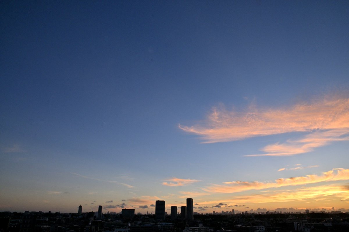 tomihara_nozomi's tweet photo. ใ็ฉบๆจกๆงใ#sky #skypattern #livehere #fixedposition #nikoncreators #nikond300 #photograph #photography #็ฉบ #็ฉบๆจกๆง #ใใใง็ใใ #ๅฎไฝ็ฝฎ #ใใคใใฎๅ ดๆ #ๅ็ #ใใคใใฎๅ็ #ๅ็ๅฅฝใ #ๅ็ใงไผใใใ็งใฎไธ็ #ๅ็ๅฅฝใใชไบบใจ็นใใใใ #ๆญฉๆฅฝ้ๅ็้จ https://t.co/1UWO3bpnod