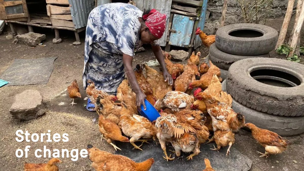 #storiesofchange Tsehay Ayalew, a mother of 3 from Shashemene, turned hardship into hope through Sweden supported Cash Plus training. From selling Injera, to running a coffee biz, raising chickens &amp; joining a savings group- she’s building a future for her family. 📸Maria Asgele