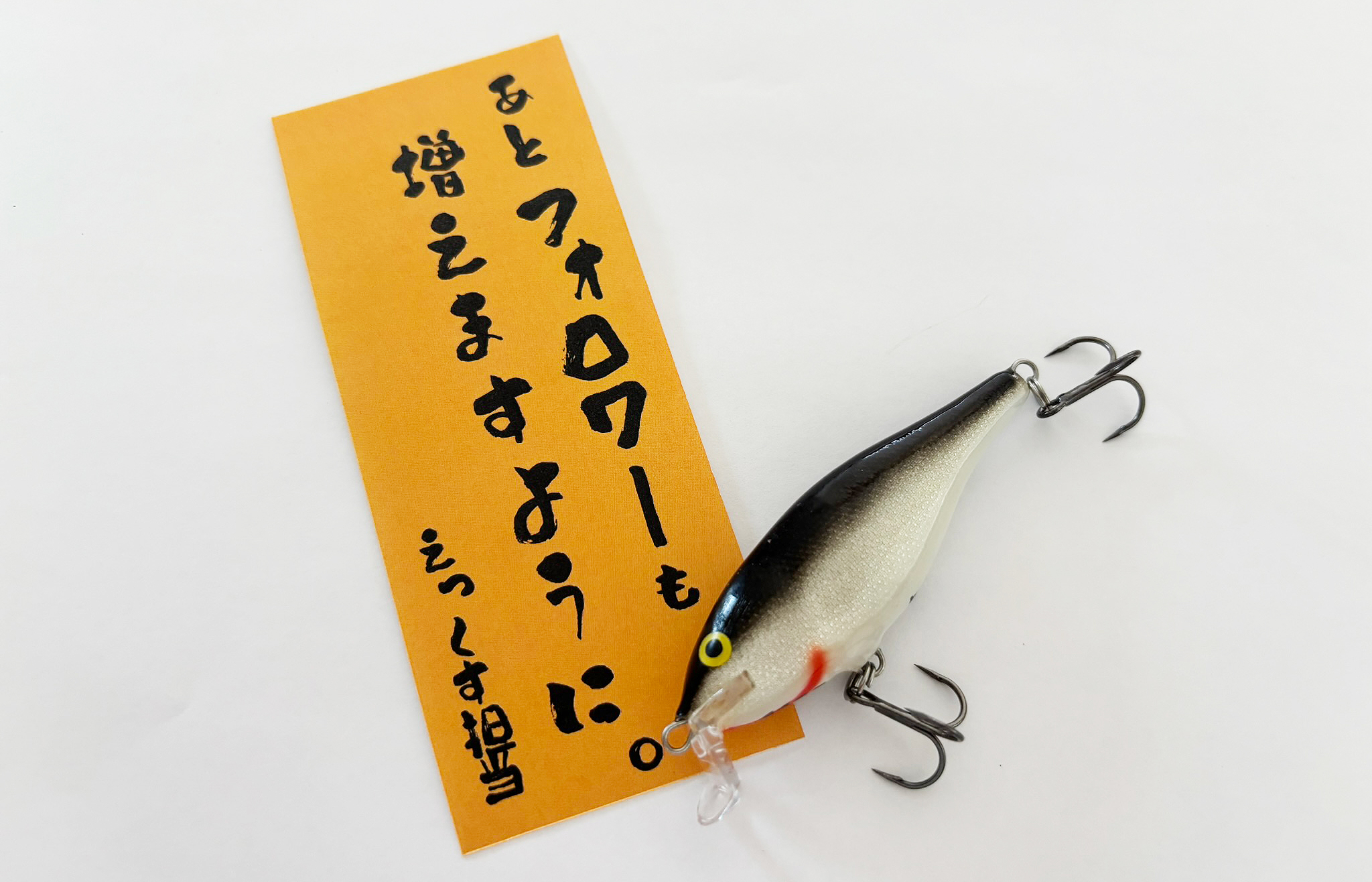 Amazon.com: Rapala KBN CD7/J Minnow Countdown Japan Special