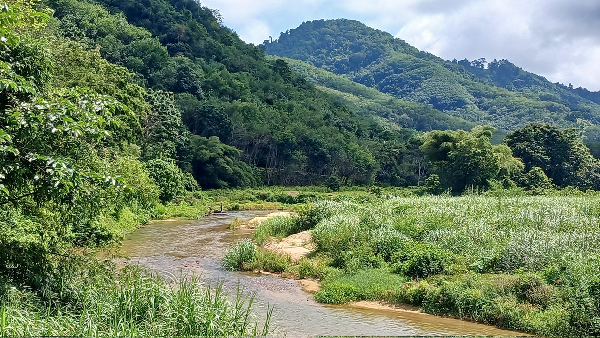 ลงพื้นที่ทำงาน ผ่านธรรมชาติน่า outdoor ก็คือ เอาดอออกมาทำอะไรก็ได้ตามชอบ