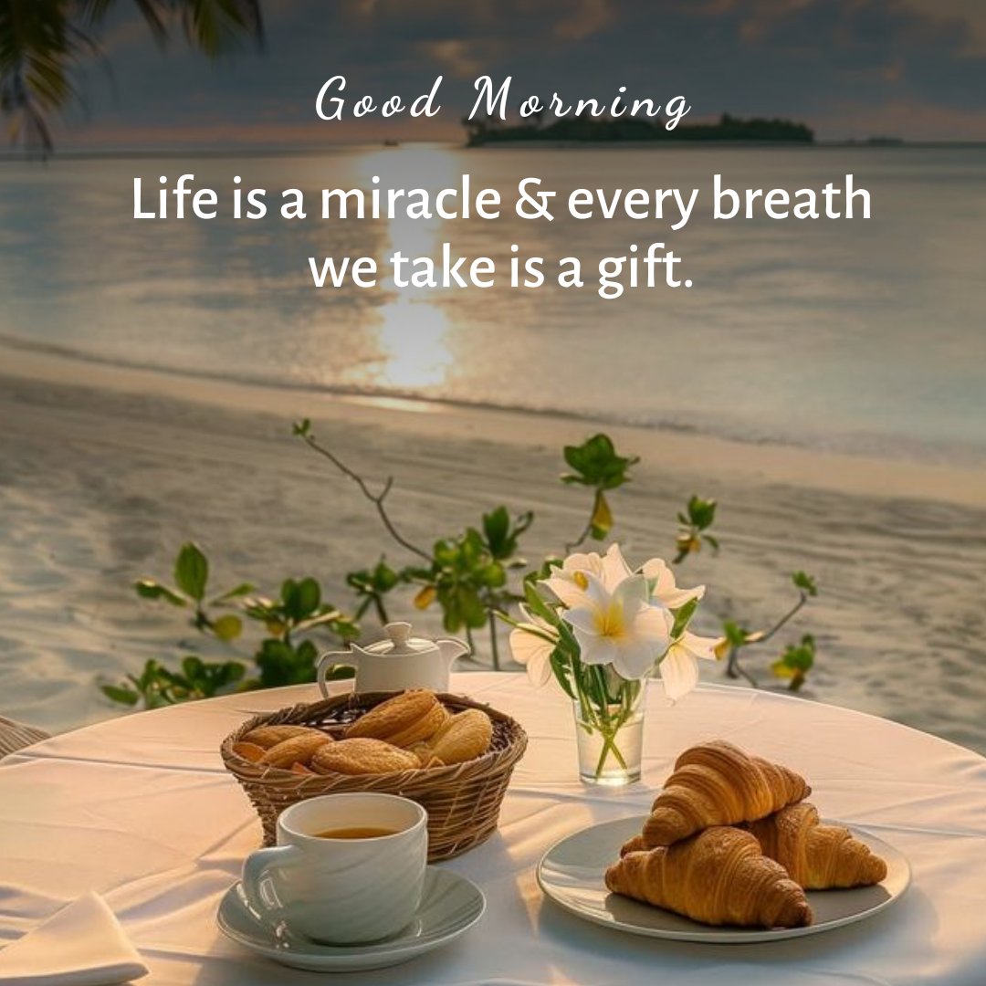 Life is fragile. It is an extraordinary &amp; undeserved blessing. Show gratitude &amp; appreciation for each moment. Every breath is a reminder of this gift. It's a continuous cycle of existence that should not be taken for granted.😊🙏🙏