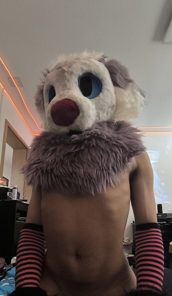 Now more active again than ever, especially now with a suit

<a href="/ChevyDahl/">Chevy</a> 

#furry #femboy #murrsuit #yiff #fursuit #pansexual