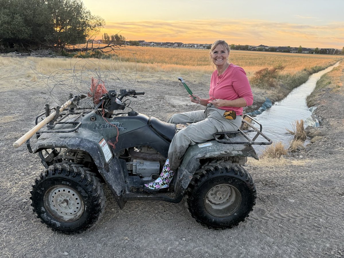 Mikeemoyle's tweet image. I hate it when they tear into the fence and get all tangled up !!! We got her out but I think Janet needs taller boots 😎
