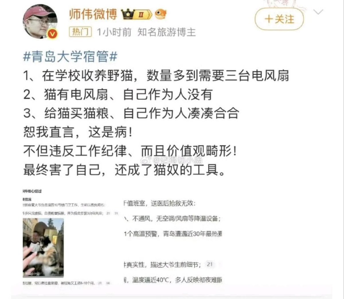 如果爱小动物也有罪，那什么才是无罪呢？做一个不关心弱小没有感情的兽人吗？
学校为什么漏掉门卫不装空调?
是职业等级导致的吗?
门卫老人太善良了，把电风扇让给了猫。所有关爱弱小的人都值得被优待和尊重！
