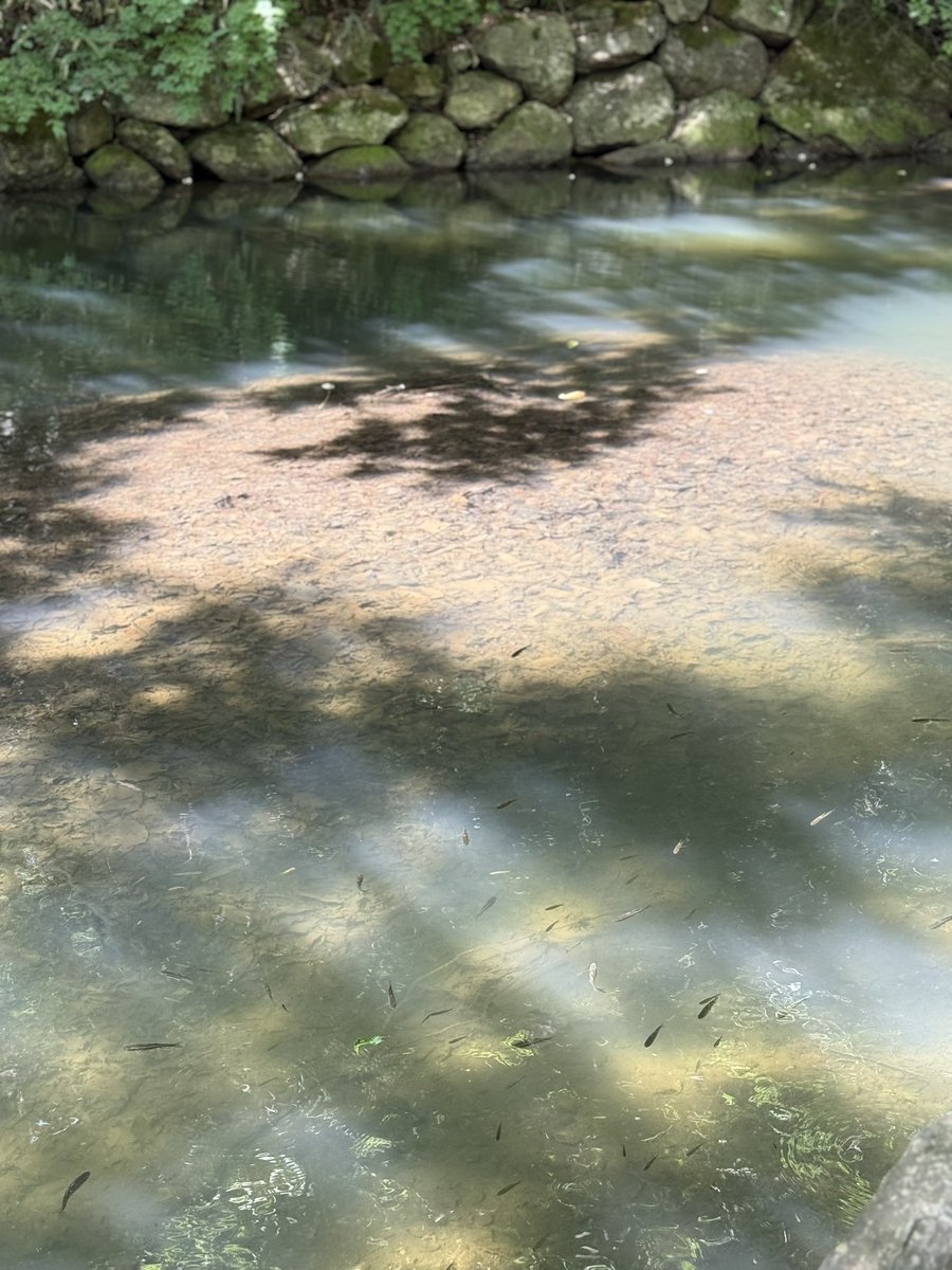 흰 (@sadbutgreat) on Twitter photo 