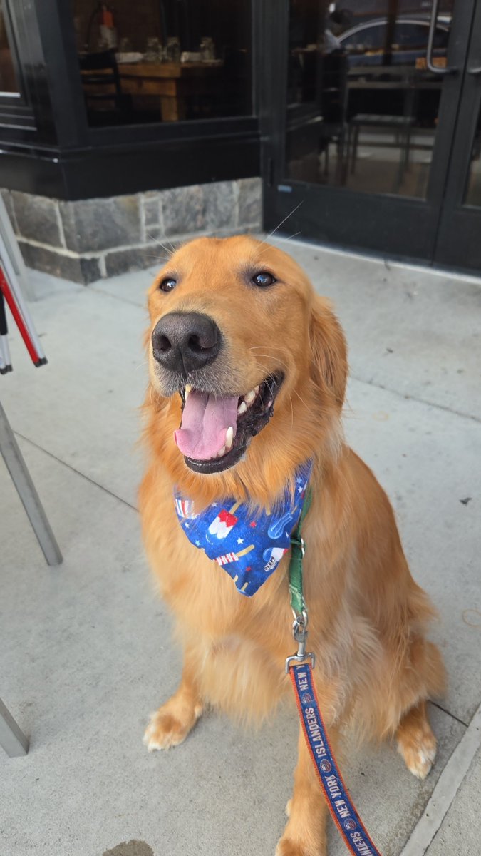 Happy 4th weekend from petey 🇺🇸