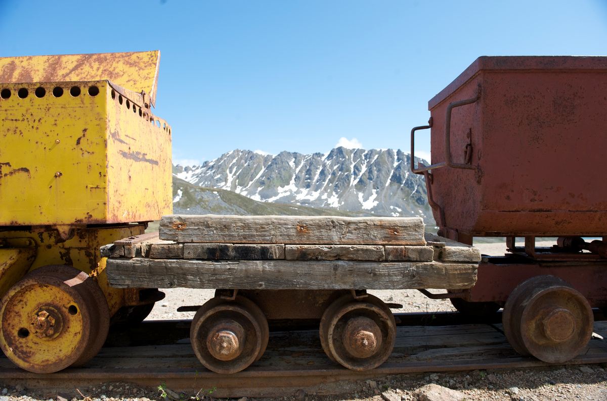 Victor Sheverda tweet media