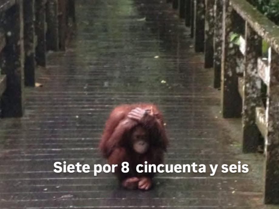 *Mi novia levanta su mano para acariciarme la cara* 

Yo y mis traumas de la infancia: