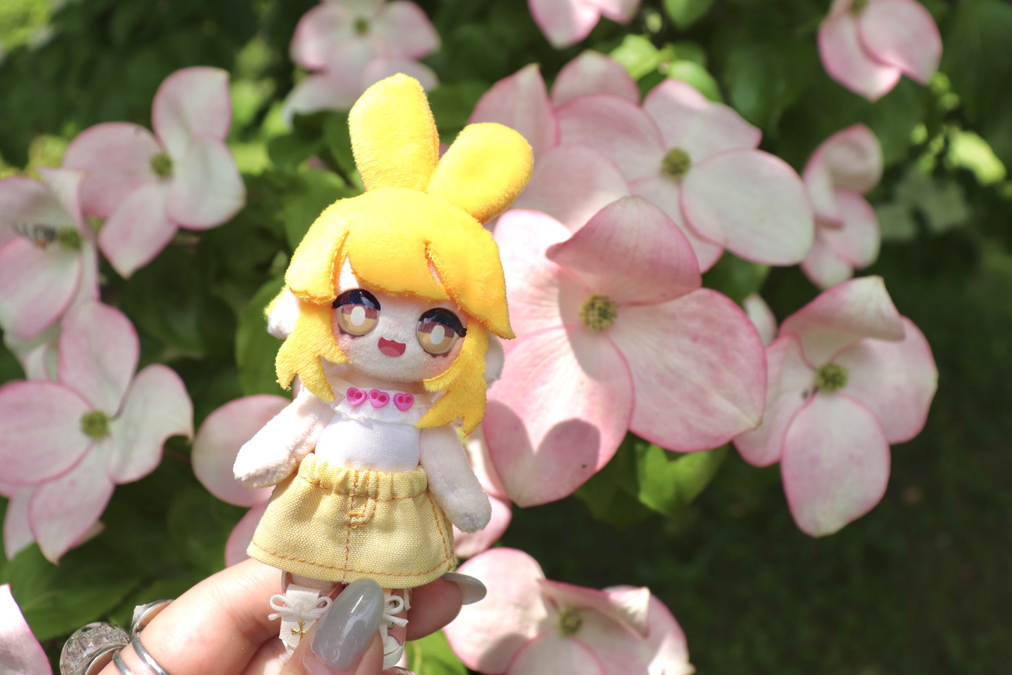 ぱんぷに🕊 (@panpunin) / X