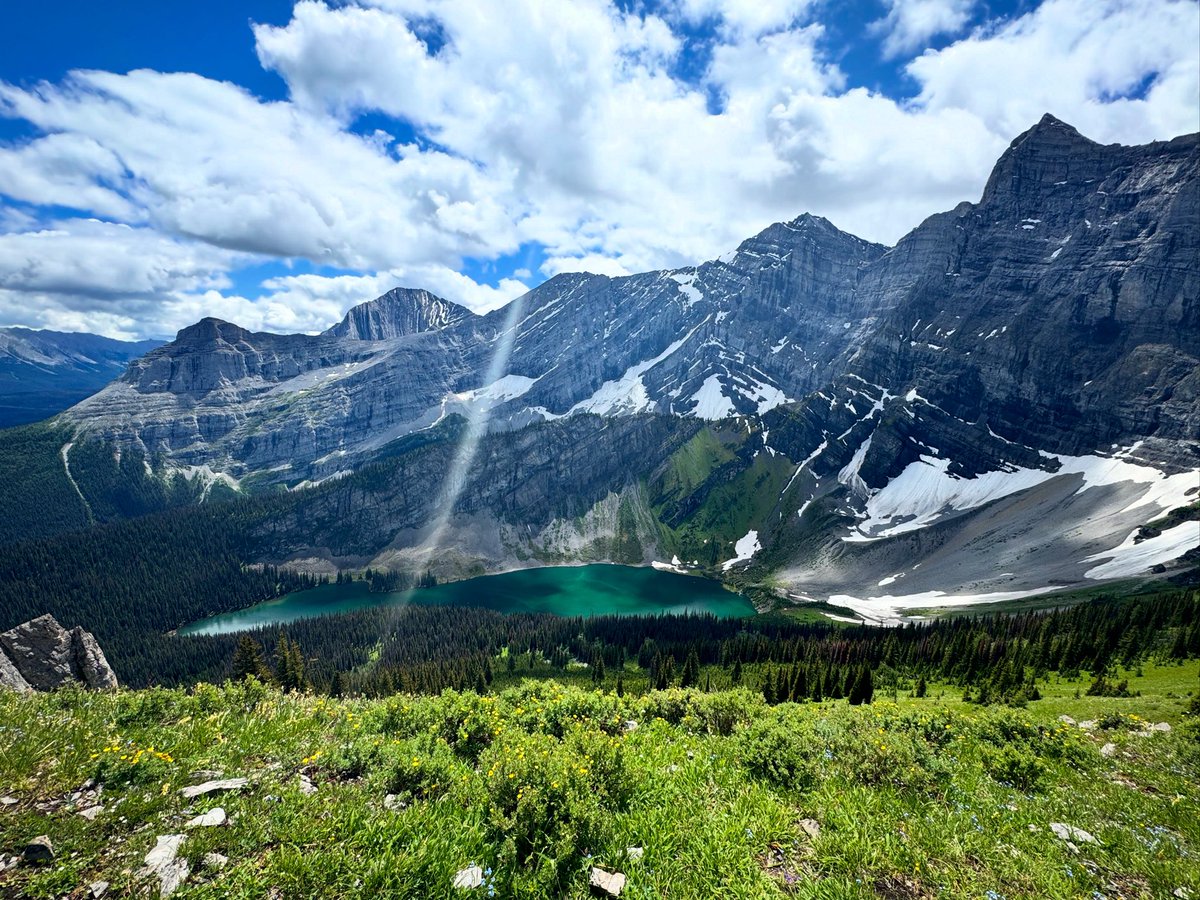ElliottVenczel's tweet image. One of my favourite views in Alberta.