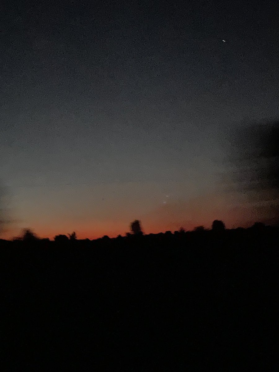 wwwbigbaldhead's tweet image. Day1