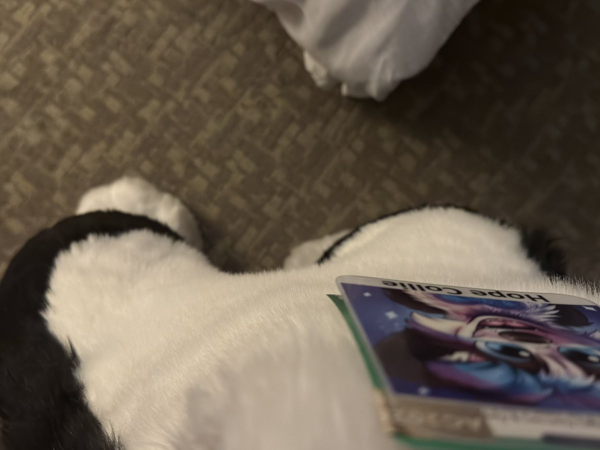 Coming down one more time! 😃💜💙 #anthrocon2025