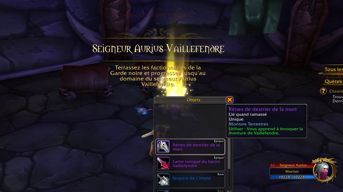 The day is starting well ! First time in 18 years that i see this Rivendare mount drop 😍