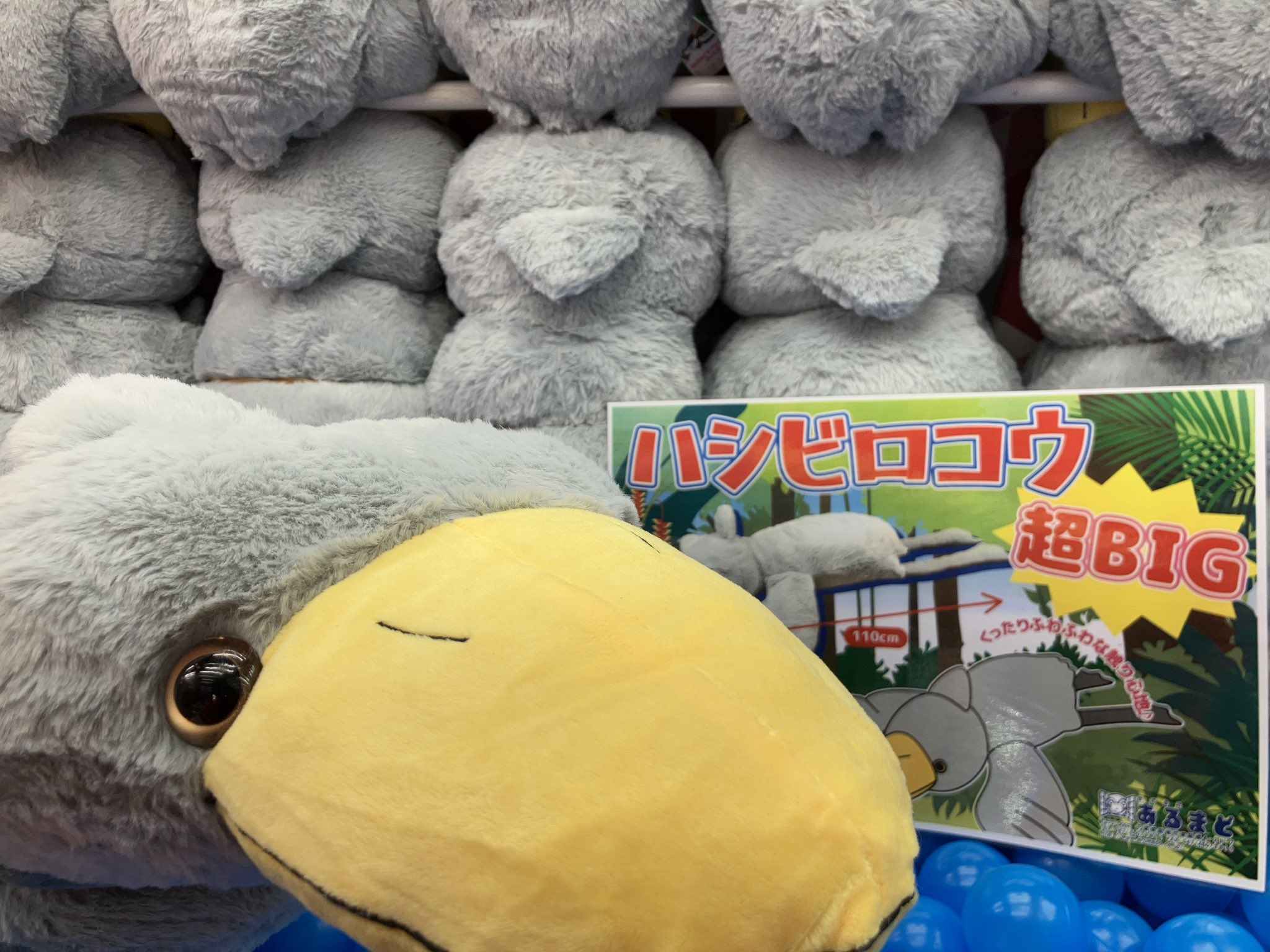 タイステ 柏店 on X: 
