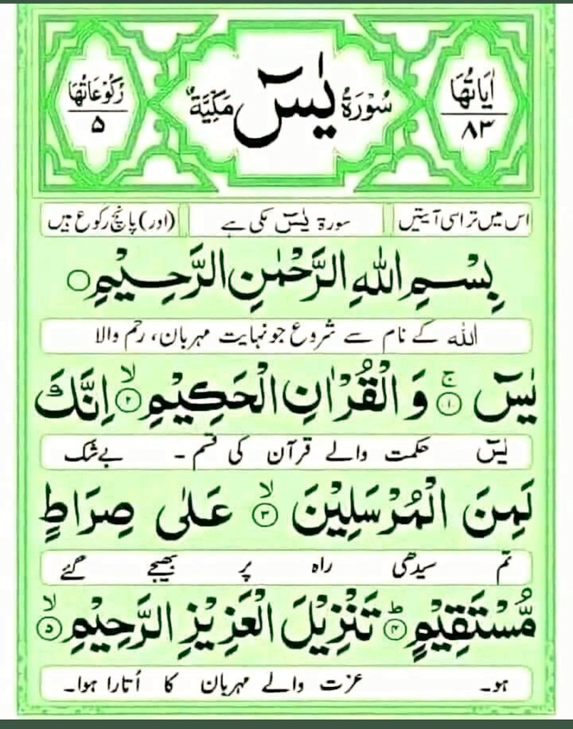 Asmaraii1's tweet image. ﷽
الســــــلام علیــــــــــــــکم 
 صبح الخیر  🌴