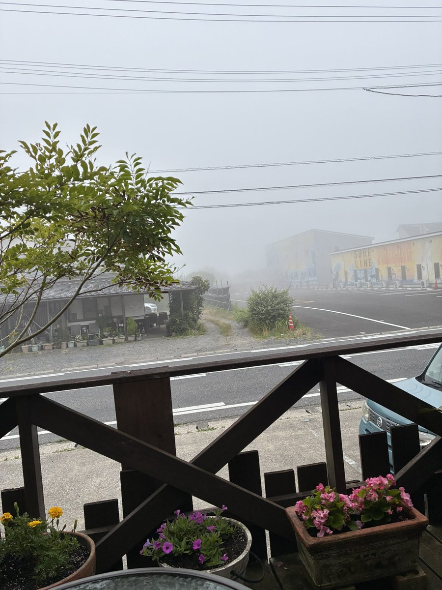 DimancheCafe's tweet image. 暑い毎日です。雨が降らないので植木の水やりは朝の仕事になっています。こちら海近では朝、かなりの霧が出ることが多く多少涼しいのですが日が出ると暑くなり短パン🩳で店に出ています。