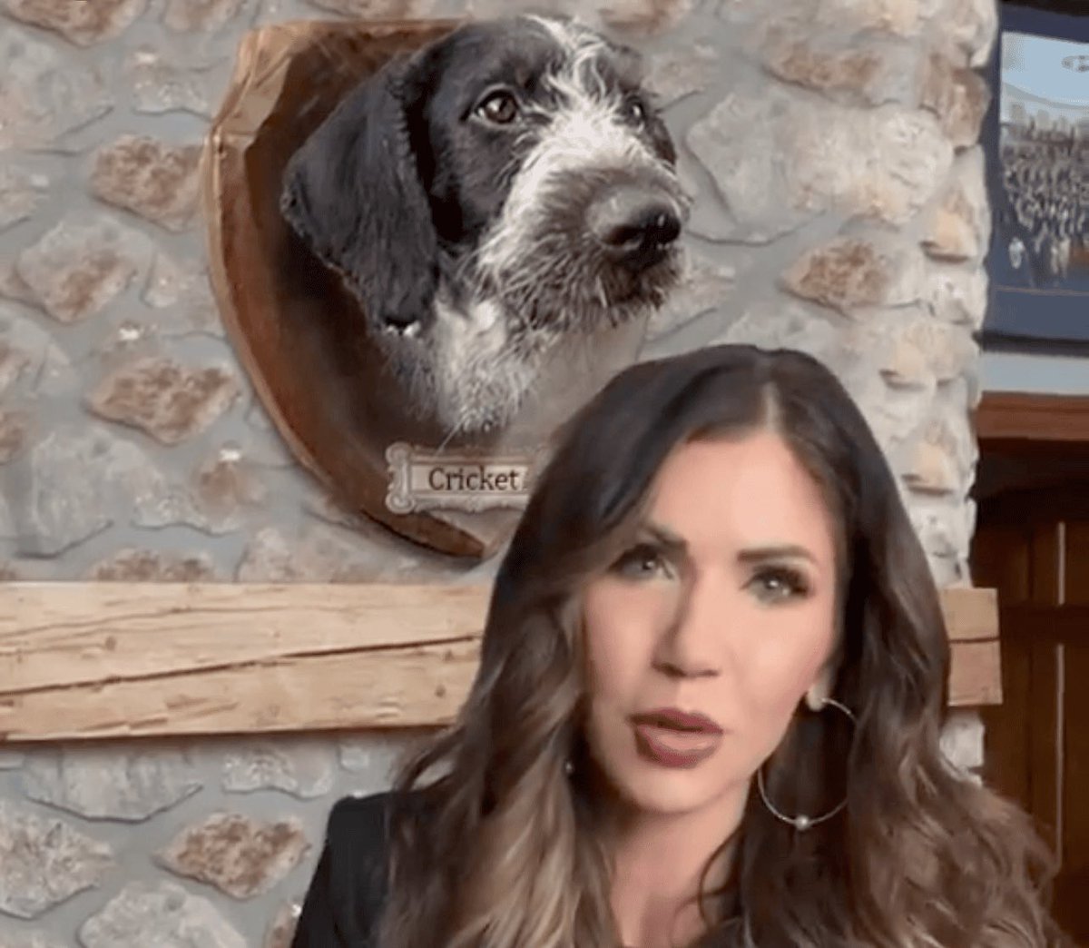 <a href="/patriottakes/">PatriotTakes 🇺🇸</a> Kristi Noem’s Official Governor Portrait-