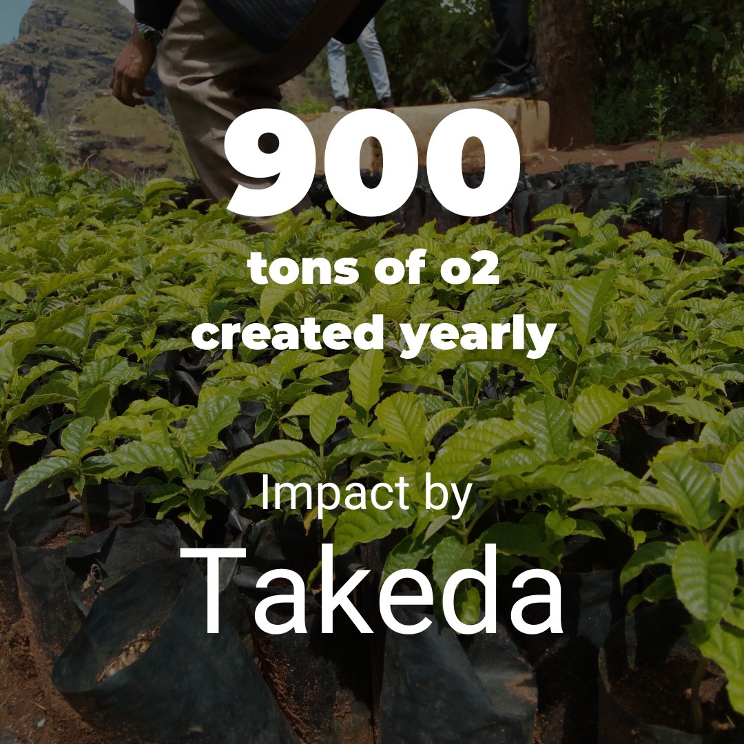 Takeda is cleaning the air we breathe 🌱
🌍 900 tons of oxygen created every year!

Each tree they plant absorbs CO2 and gives back fresh oxygen. Their impact is felt and breathed.

Thank you, Takeda!
#SustainableImpact #PlantTrees #BusinessForGood #ForestNation