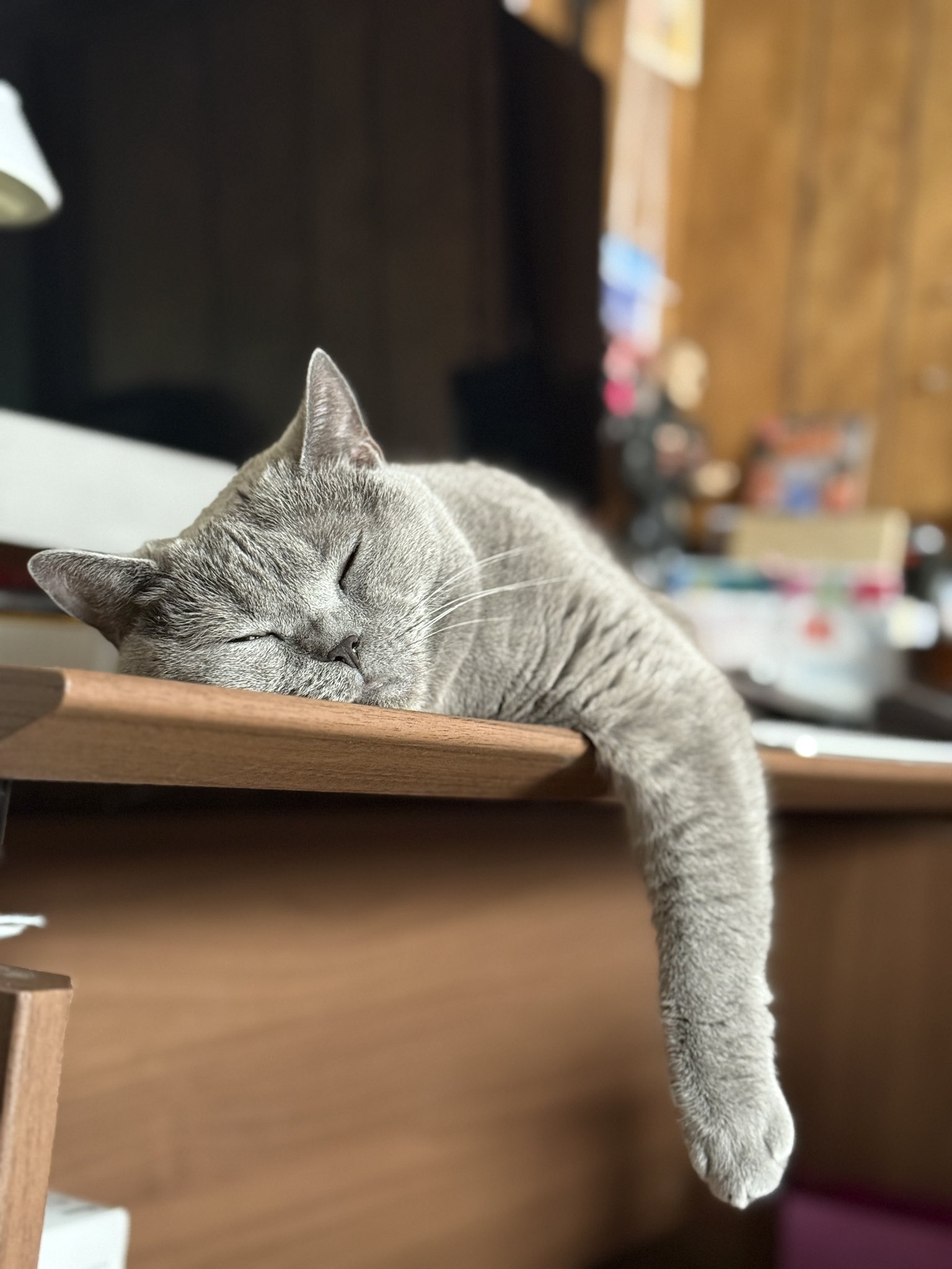 ゆうびっと (@Youbit_PR) / X