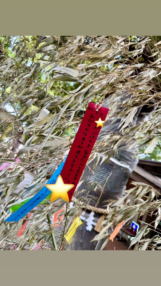 笹の葉さーらさら🎋
頼んだよ。七夕様💫
R.7.7.7.